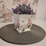 Διαμέρισμα Rhein 3-zimmer Garten Free Parking Netflix Premium Premium Κόμπλεντς