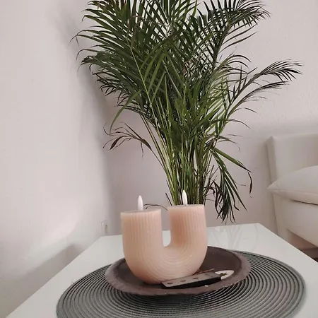 Apartment Koblenzliebe Rhein 3-zimmer Garten Parking *