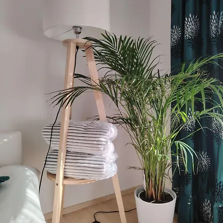 Διαμέρισμα Rhein 3-zimmer Garten Free Parking Netflix Premium Premium Κόμπλεντς
