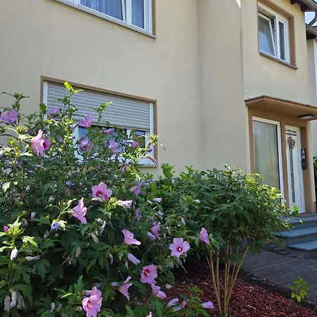 Appartement Rhein 3-zimmer Garten Free Parking Netflix Premium Premium Coblence