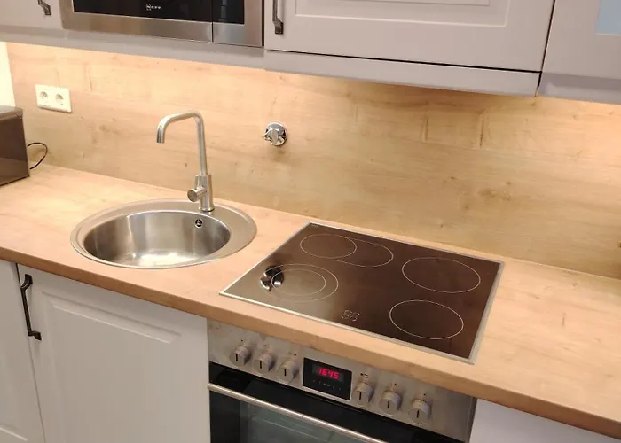 Rhein 3-zimmer Garten Free Parking Netflix Premium Premium Κόμπλεντς