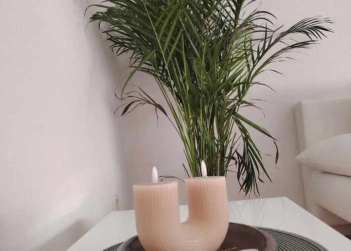 Διαμέρισμα Rhein 3-zimmer Garten Free Parking Netflix Premium Premium *