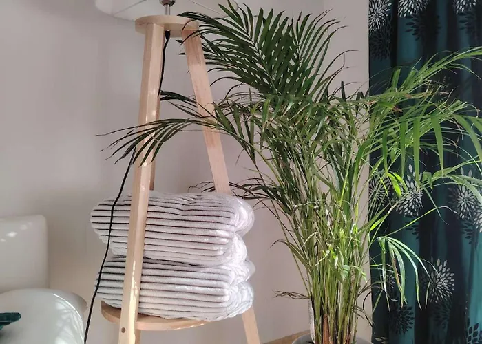 Διαμέρισμα Rhein 3-zimmer Garten Free Parking Netflix Premium Premium Κόμπλεντς